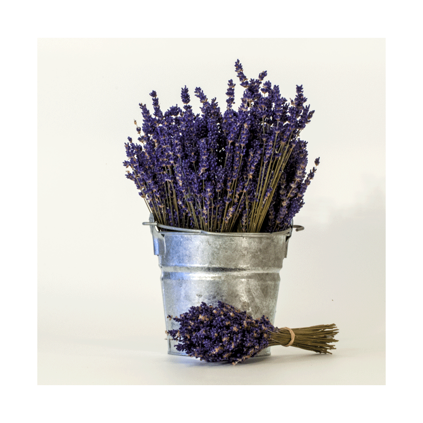 SPAMATE ENGLISH LAVENDER AROMATHERAPY 245ML 