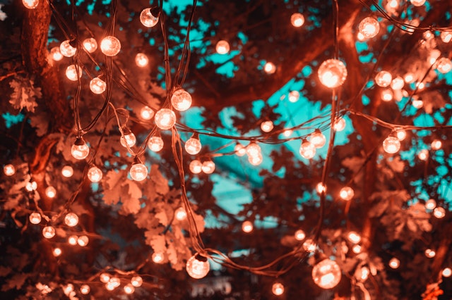 Fairy lights are the perfect addition to a garden party