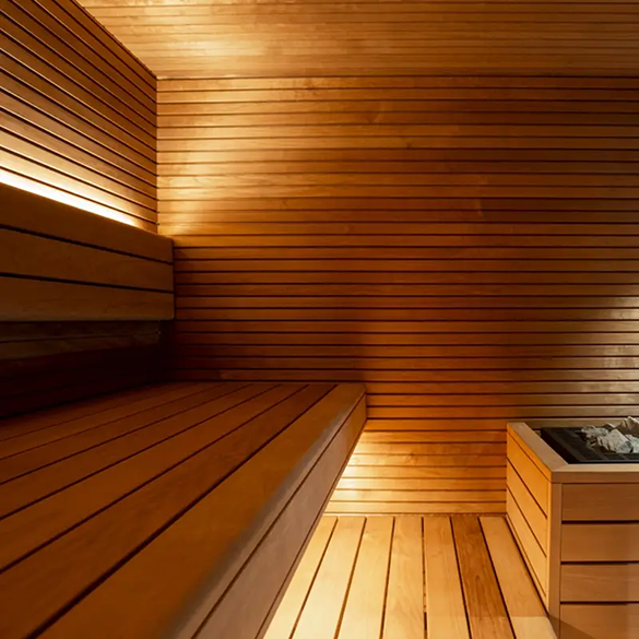 image inside a single tier sauna